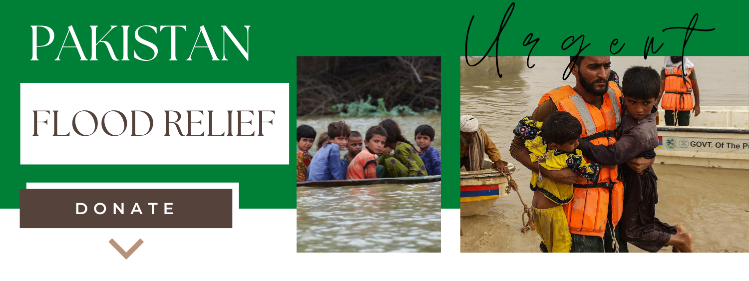 Pakistan Floor Relief